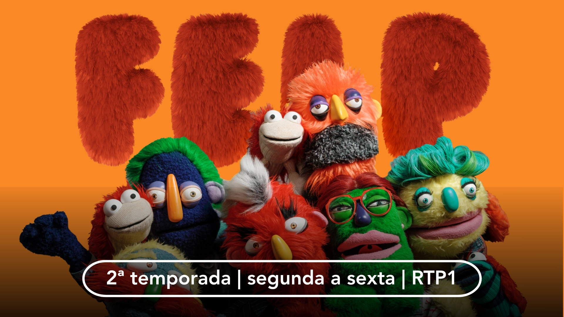 felp HOMEPAGE fixa